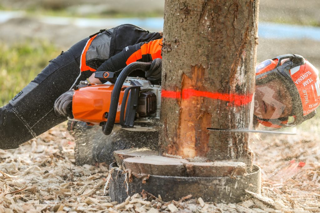 WLC_Slovenia_130326_Lo_res_026