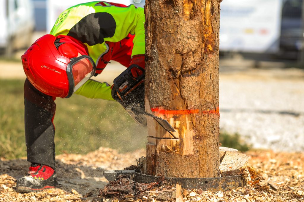 WLC_Slovenia_130326_Lo_res_028
