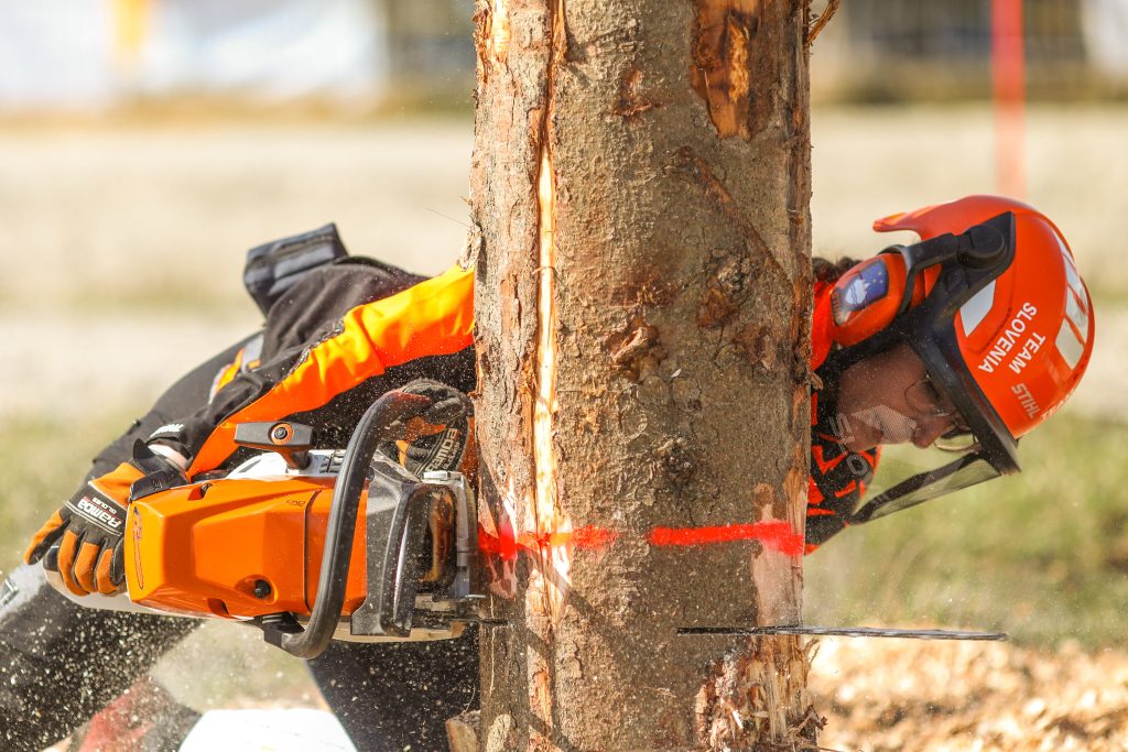 WLC_Slovenia_130326_Lo_res_031