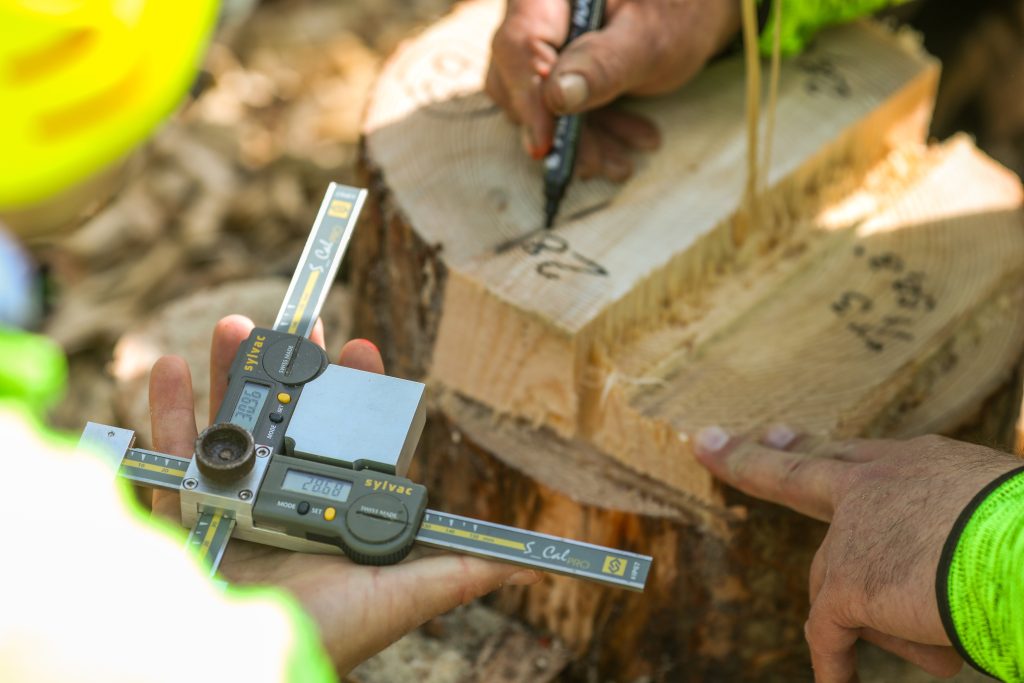 WLC_Slovenia_130326_Lo_res_043