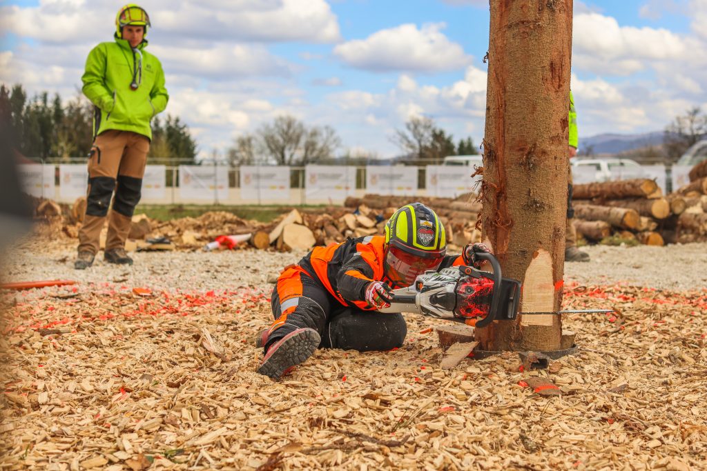 WLC_Slovenia_140326_Lo_res_008